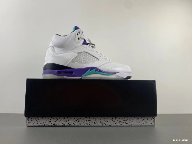 Rep LUCY (2013) Grape 5 Jordan Retro 136027-108 Air 0629